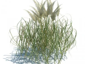 nature collection 3D Model