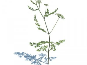 nature collection 3D Model