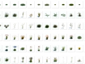 nature collection v2 Modelo 3D