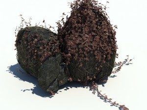nature collection v2 3D Model