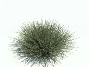 nature collection v2 3D Model