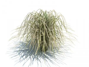 nature collection v2 3D Model