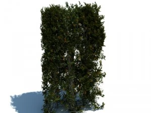 nature collection v2 3D Model
