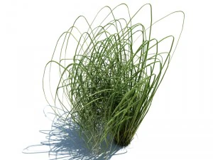nature collection v2 3D Model