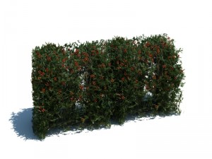 nature collection v2 3D Model