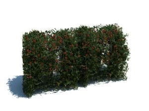 nature collection v2 3D Model