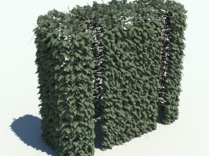 nature collection v2 3D Model