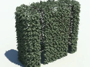 nature collection v2 3D Model