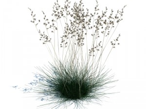 nature collection v2 3D Model
