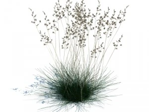 nature collection v2 3D Model