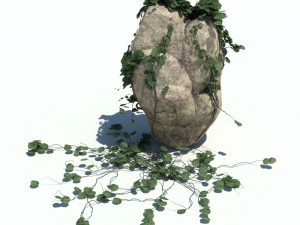 nature collection v2 3D Model