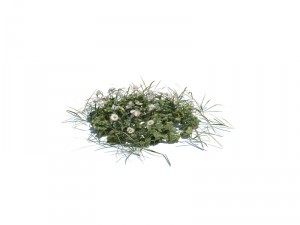 nature collection v2 3D Model