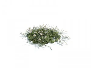 nature collection v2 3D Model