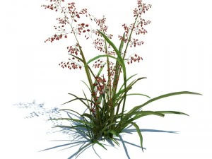 nature collection v2 3D Model