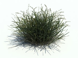 nature collection v2 3D Model