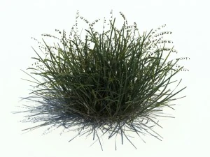nature collection v2 3D Model