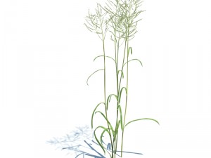 nature collection v2 3D Model