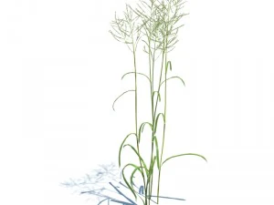 nature collection v2 3D Model