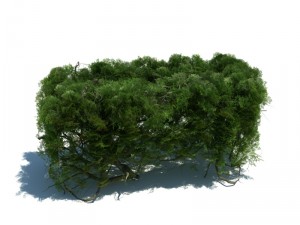 nature collection v2 3D Model