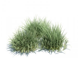 nature collection v2 3D Model