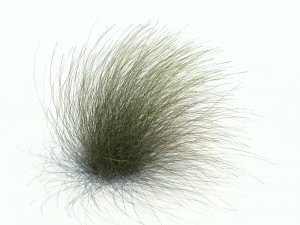nature collection v2 3D Model