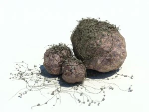 nature collection v2 3D Model