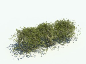 nature collection v2 3D Model