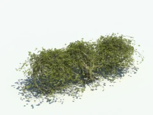 nature collection v2 3D Model