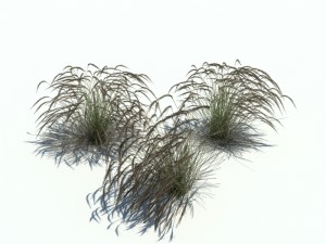 nature collection v2 3D Model