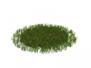 nature collection v2 3D Model