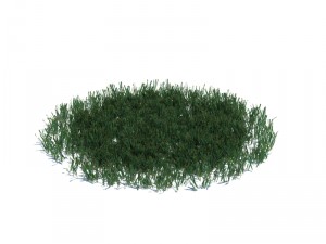nature collection v2 3D Model