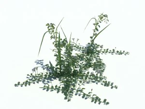 nature collection v2 3D Model