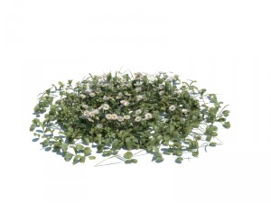 nature collection v2 3D Model
