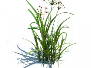 nature collection v2 3D Model