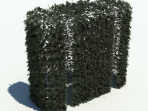 nature collection v2 3D Model
