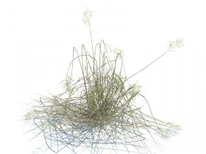 nature collection v2 3D Model