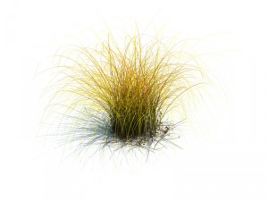nature collection v2 3D Model
