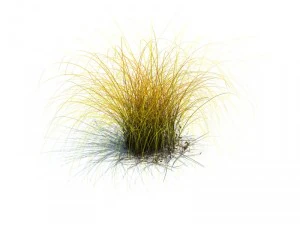 nature collection v2 3D Model