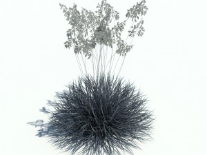 nature collection v2 3D Model