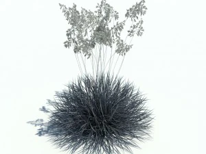 nature collection v2 3D Model