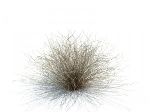 nature collection v2 3D Model