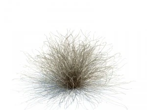 nature collection v2 3D Model