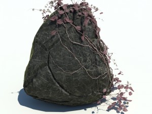 nature collection v2 3D Model