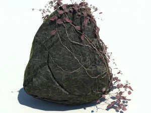 nature collection v2 3D Model
