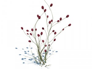 nature collection v2 3D Model