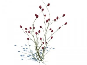 nature collection v2 3D Model
