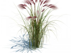 nature collection v2 3D Model