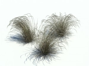 nature collection v2 3D Model