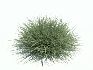 nature collection v2 3D Model