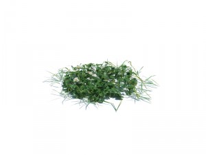 nature collection v2 3D Model